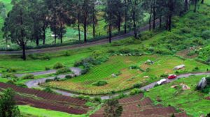 The scenic hill town of Ooty is located in southern India. 