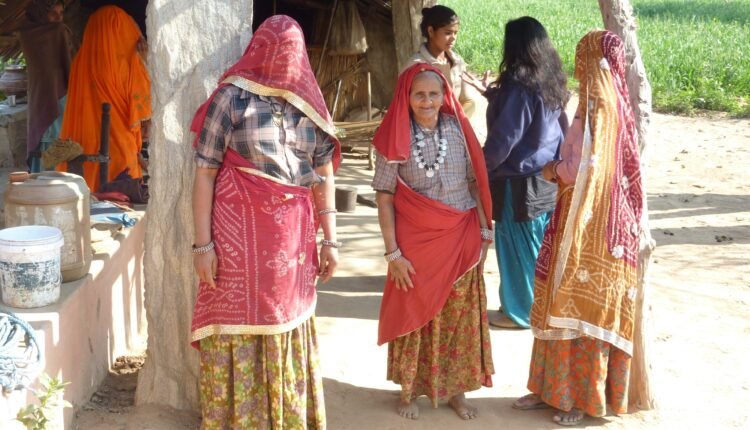 Image by Christian Trachsel from Pixabay - Rajasthan's Best Tourist Village