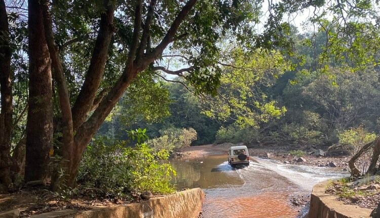 Vinayaraj, CC BY-SA 4.0 , via Wikimedia Commons - Dudhsagar Falls Reopens