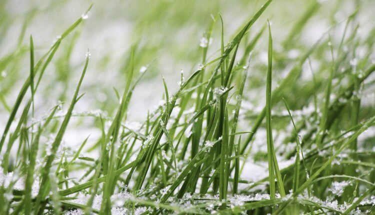 Image by Junzer from Pixabay - Snowfall in Odisha