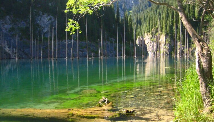 Jonas Satkauskas, Attribution, via Wikimedia Commons - Travel Destinations Indians Googled