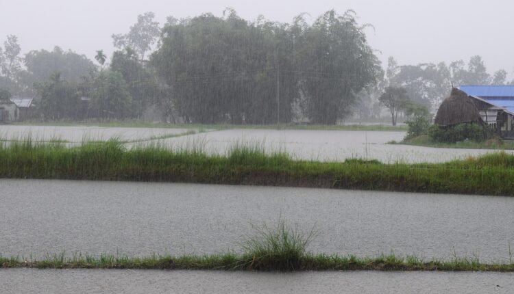 Image by Ajaya khadka from Pixabay - IMD Alert